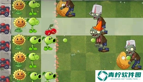 植物大战僵尸进化版