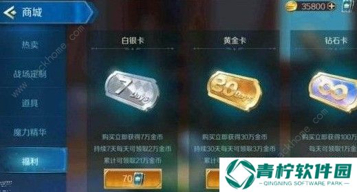 战歌竞技场商城有什么出售 商城出售物品一览图片3