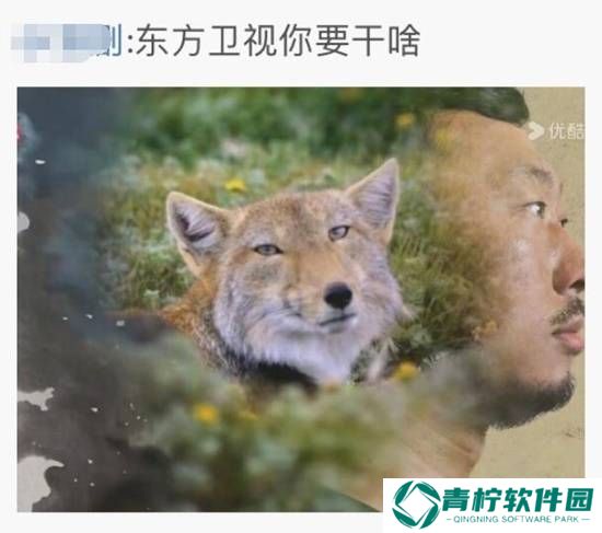 极乐软件园