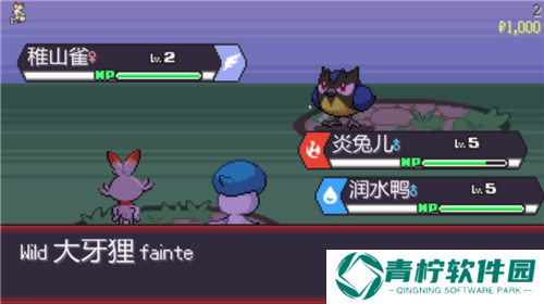宝可梦肉鸽