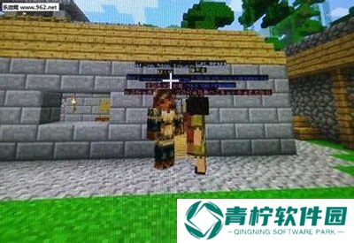 我的世界烦人的村民6.0