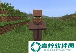 我的世界烦人的村民6.0