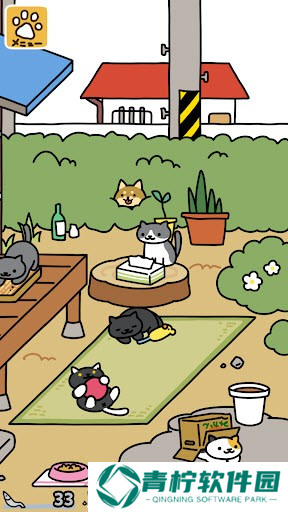 猫咪收集2