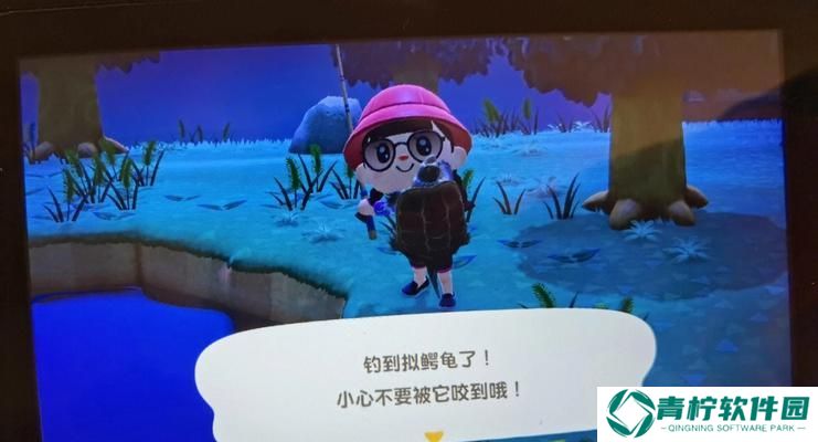 《动物森友会》南北半球都有的缺点（全面解析游戏中的问题）