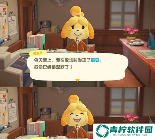 《动物森友会》南北半球都有的缺点（全面解析游戏中的问题）