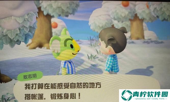 《动物森友会》雪花收集及作用全攻略（如何获取雪花并充分利用它的作用）