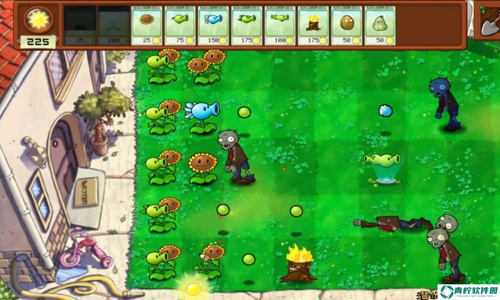 植物大战僵尸拼接版