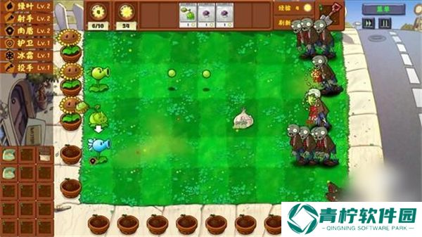pvz金铲铲版