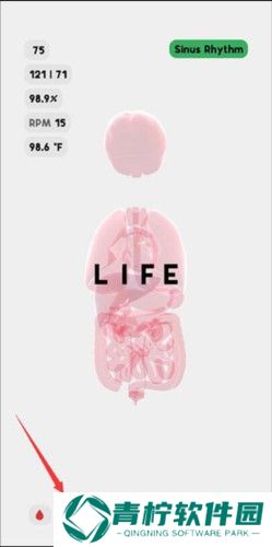 生命life