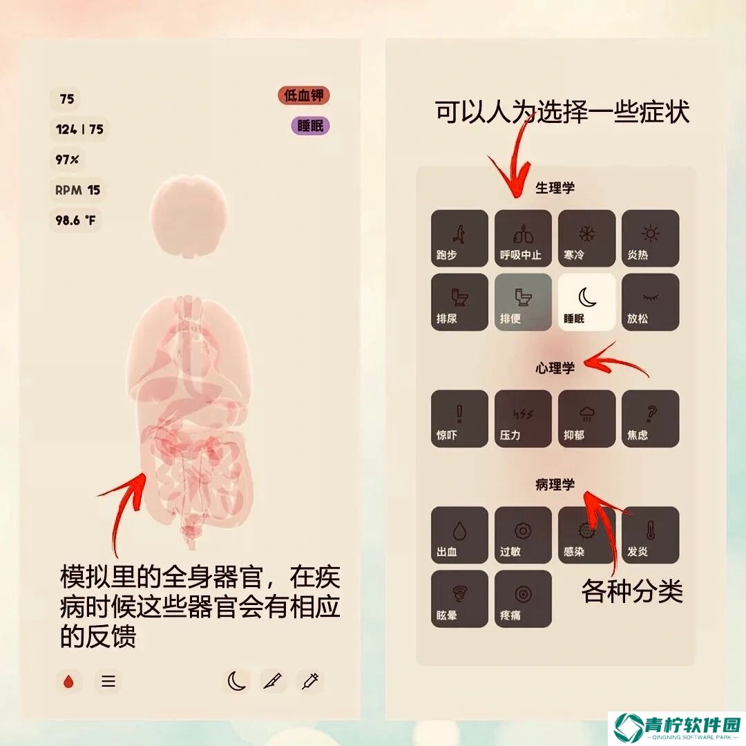生命life