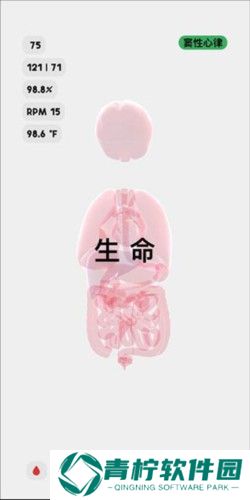 生命life