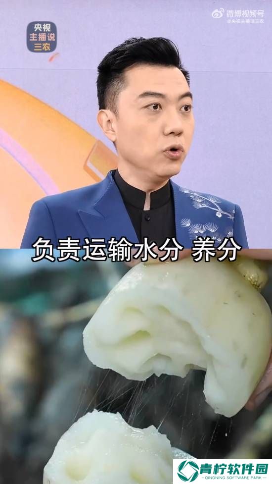 极乐软件园