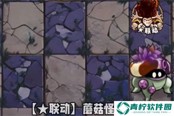 植物大战僵尸神奇植物版