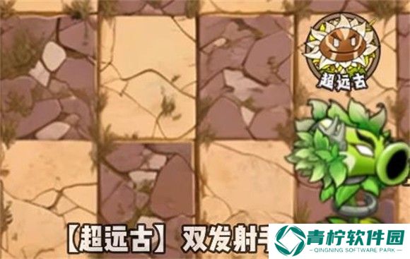 植物大战僵尸神奇植物版