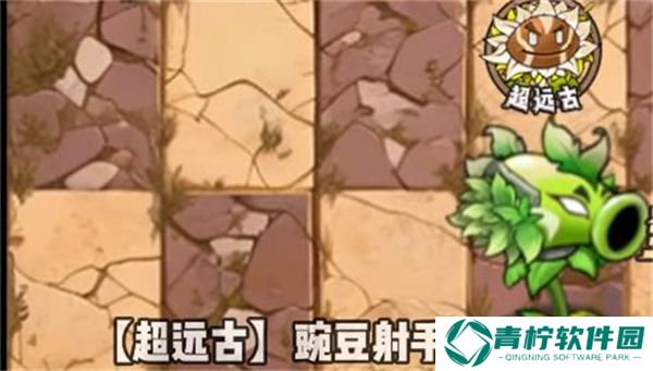 植物大战僵尸神奇植物